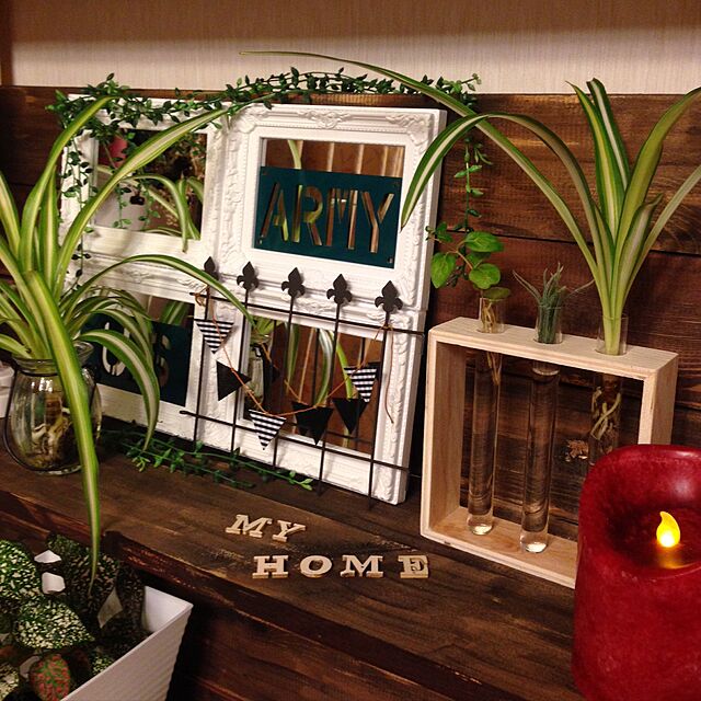My Shelf,試験管立て,すごいぞ！100均,観葉植物,棚DIY m.tの部屋