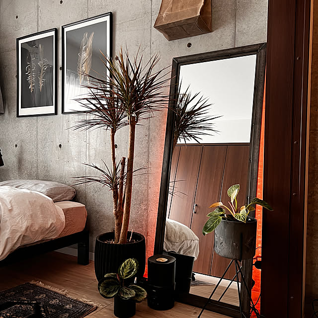 ベッドルーム,ACTUS雑貨,タイムレスコンフォート,観葉植物,一人暮らし,1LDK 1人暮らし,照明,Bedroom Ryotaの部屋