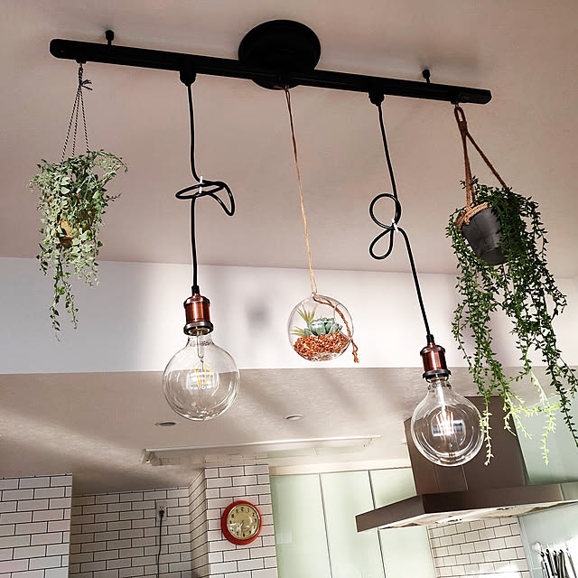 On Walls,カフェ風,グリーンのある暮らし,ニトリ,IKEA,照明,多肉植物,観葉植物,ナチュラル,フェイクグリーン yuipの部屋