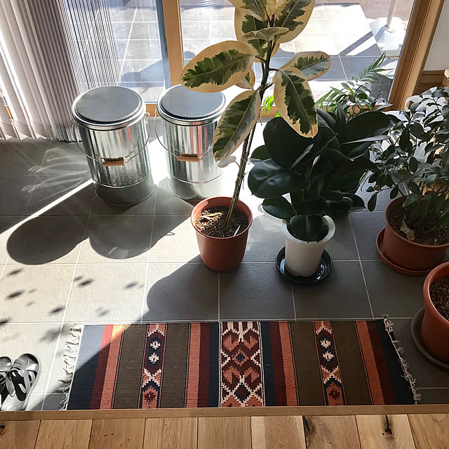Lounge,植物達日光浴,土間,楽天で買ったもの,田舎暮らし chobinの部屋
