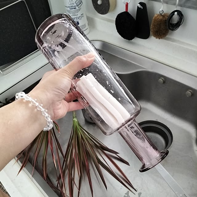 Kitchen,100均,水筒洗いスポンジ,セリア,植物のある暮らし,水換えは毎朝,すっきり暮らす,暮らしを楽しむ,日々の暮らし,観葉植物のある暮らし,心地よい暮らし,枝物を飾る,ナチュラルモダンインテリア,ダイニング,瘉し,ドウダンツツジ coco0.84.の部屋