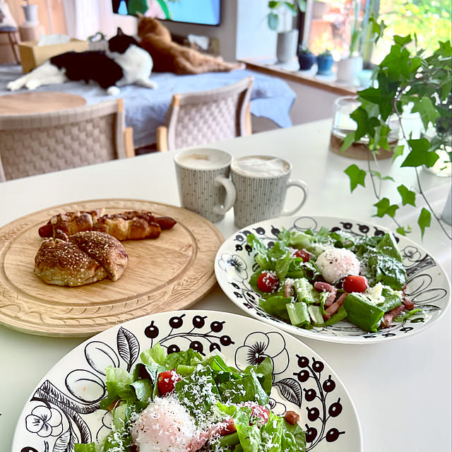 マグカップ,お皿,アラビア,ねこと暮らす,シーザーサラダ,朝食,買ってよかったもの,心地よい暮らし,NO GREEN NO LIFE,コメントお気遣いなく♡,癒し,グリーンのある暮らし,アイビー,フォロワーさんに感謝♡,見てくれてありがとうございます♡,日常に感謝,マンション暮らし,ねこのいる日常,Kitchen,2024.6.11 mag掲載 pooの部屋