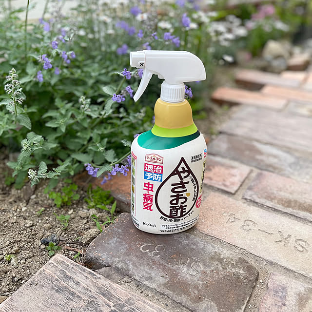 Entrance,ジューンベリーの実,ジューンベリー,いちご栽培,ガーデニング,害虫対策,アースガーデン,やさお酢,花,花のある暮らし,レンガの小道DIY,庭 choco-curiの部屋