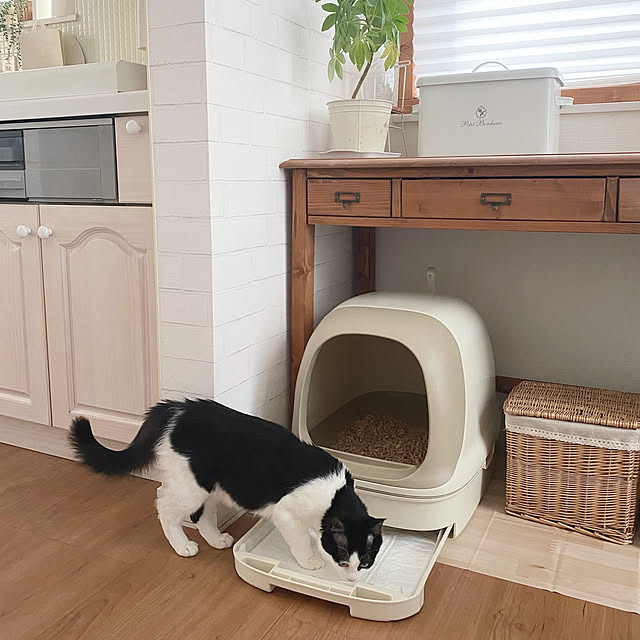 Kitchen,インテリア,猫トイレ,ナチュラルインテリア,北欧ナチュラル,RCの出会いに感謝♡,かごが好き♡,ねこのいる日常,ねこと暮らす,コメントお気遣いなく♡,モニター当選ありがとうございます,ニャンとも,白×茶色が好き,白×木が好き kurinの部屋