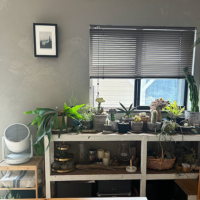 My Shelf,窓辺のインテリア,IKEA,DIY,カフェ風,北欧,ナチュラルインテリア,おうちカフェ,北欧インテリア,海外風インテリア,リラックスタイム,海外インテリアに憧れる,ミックスインテリア,暮らしを楽しむ,植物のある暮らし,RHYTHM,くらしのリズムを整える,暮らしのハンドブック2024,リズムアンバサダー,癒し,おうち時間,くつろぎ時間 kitoneの部屋