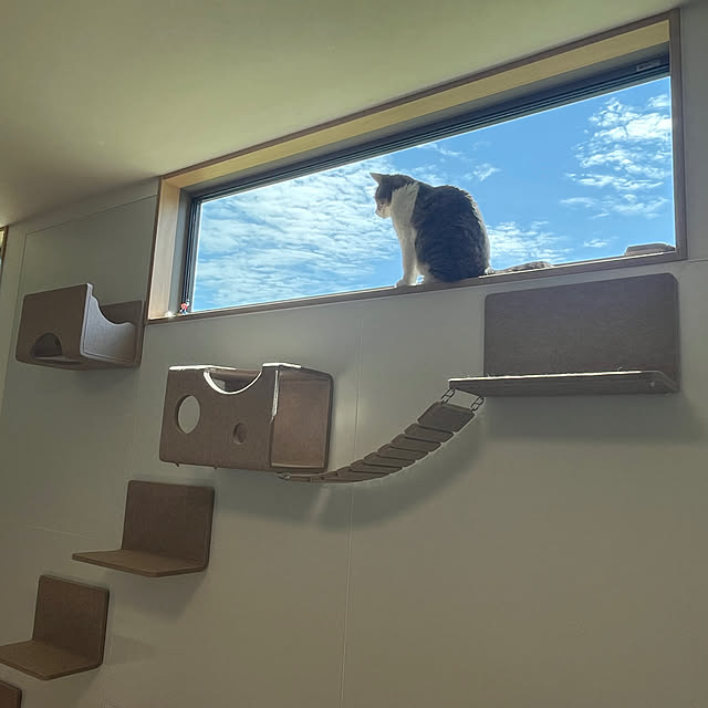 Overview,高窓のあるリビング,キャットウォーク,LIXIL,猫と暮らす,Living Deli,19畳LDK,にゃんぺき,日の光 tiroの部屋