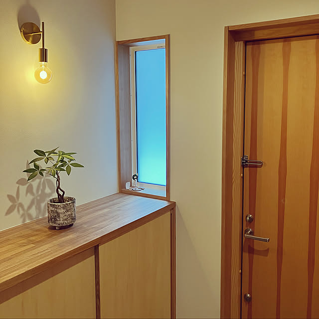 植物,パキラ,照明,ナチュラル,雑貨,木,Entrance appi102927の部屋