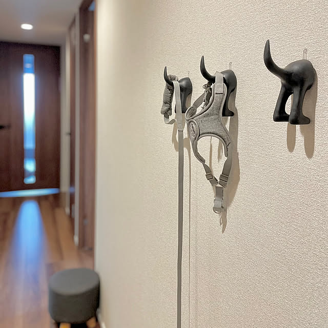アニマルモチーフ,マンションインテリア,いぬのいる生活,IKEA,Entrance Mの部屋