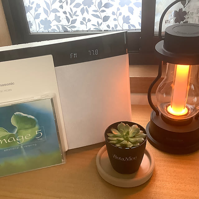 My Desk,BALMUDA The Lantern,観葉植物,多肉植物,植物のある暮らし,虫対策,BotaNice haruminの部屋