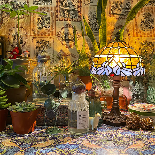 My Shelf,観葉植物,ダイソー,ナチュラル,雑貨,100均,多肉植物,セリア,3COINS,植物のある暮らし,照明,アンティーク kuraraの部屋