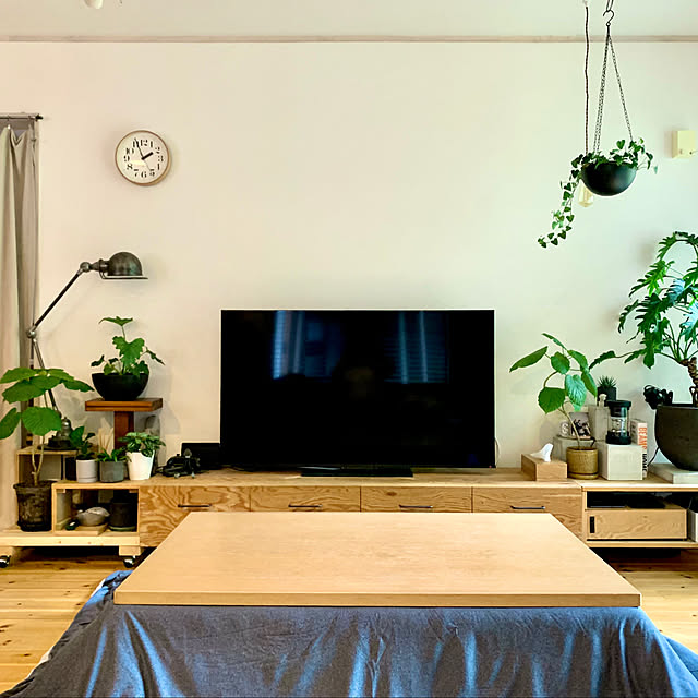 Lounge,こたつ布団,こたつ,観葉植物,ウンベラータ,リノベーション,TV台DIY,REGZA55インチ,ニトリ,リキクロック kazenの部屋