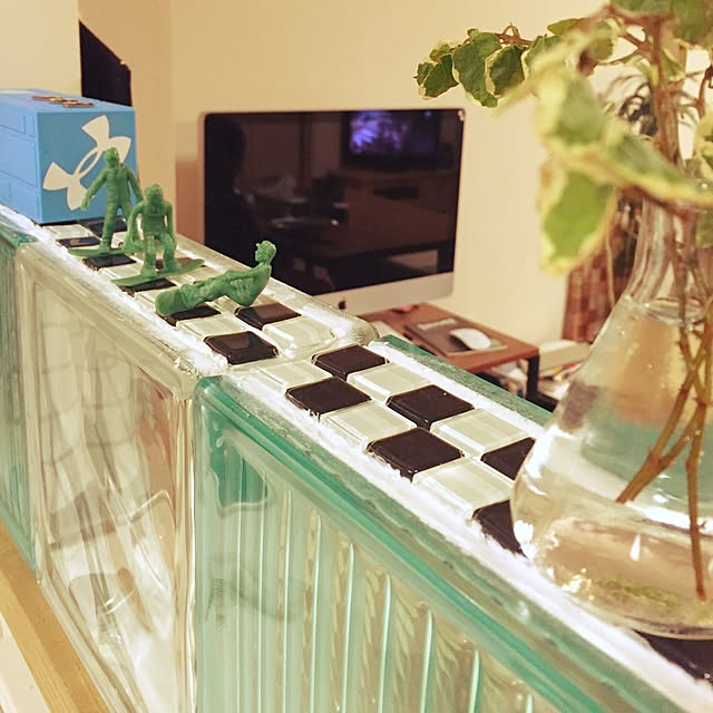 My Shelf,ダイソー,DIY,ガラスブロック,観葉植物,ガーデニング,プミラ starmine_youの部屋
