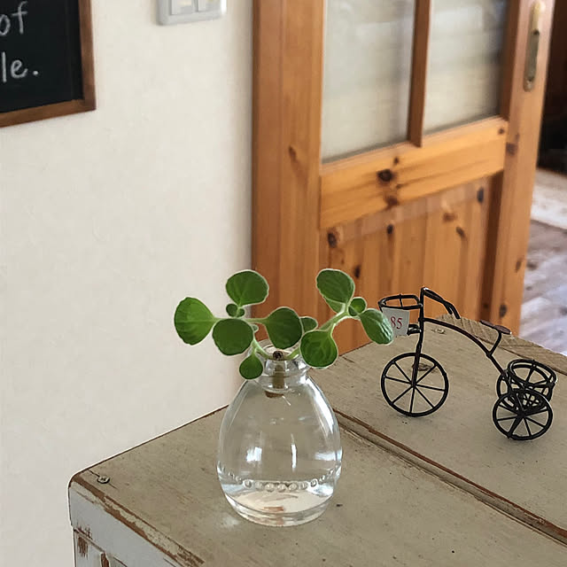 一輪挿し,雑貨大好き♡,イベント参加,100均,GREENのある暮らし,seriaの雑貨,植物のある暮らし,セリア,Kitchen,ワイヤー小物,アロマティカス水挿し,ナチュラル,ナチュラルインテリア yukkoの部屋