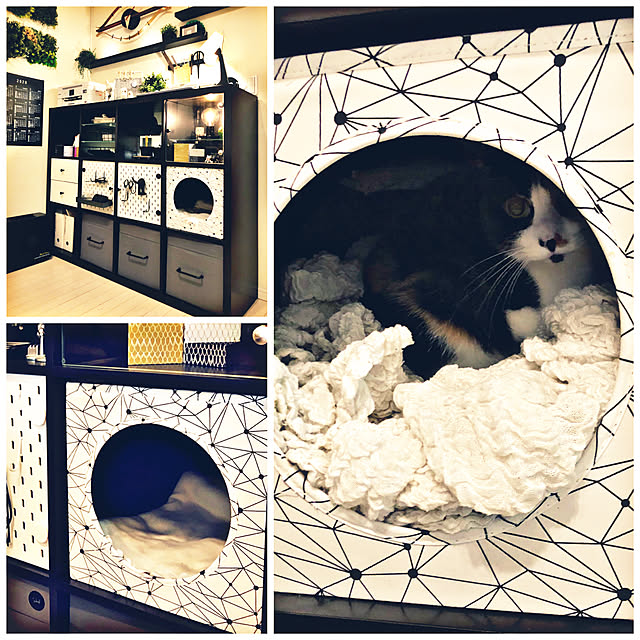 猫スペース,イベント参加用,IKEA,カラックス,収納,Lounge aoiの部屋