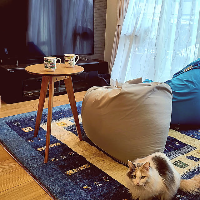 サイドテーブル,円形サイドテーブル,ヨギボー,コーヒータイム,ノルウェージャンフォレストキャット,猫,猫のいる風景,猫と暮らす家 akiko6193の部屋
