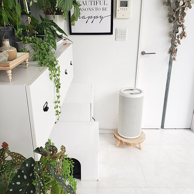 On Walls,空気清浄機,無印良品,DIY,ig→mimt38,モノトーン,観葉植物,端材,丸太スライス mi-の部屋