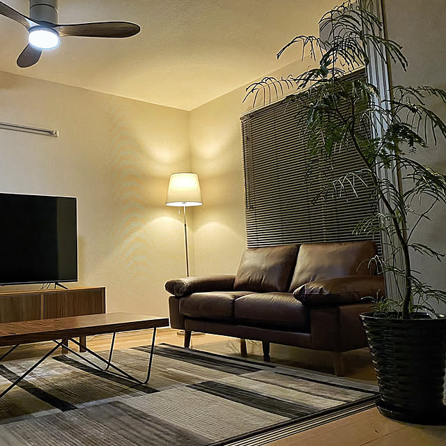 一生ものの家具,一人暮らし,男前,観葉植物,Lounge takec.ttyの部屋