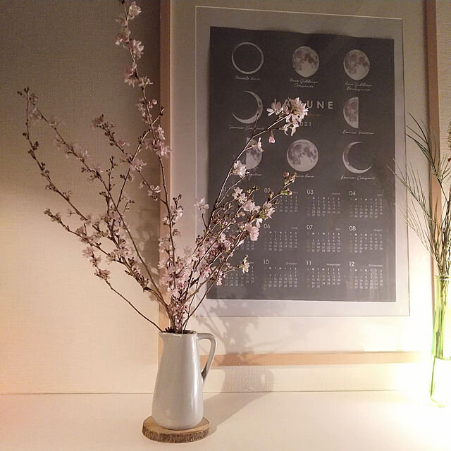 My Shelf,おうち花見,いつもありがとうございます♡,みていただきありがとうございます❢,花のある暮らし,桜の枝,キャンドゥカレンダー,ダイソーフラワーベース,ダイソー切り株コースター,100均アイテム,ダイソー,キャンドゥ,桜,夜桜風 nobiの部屋
