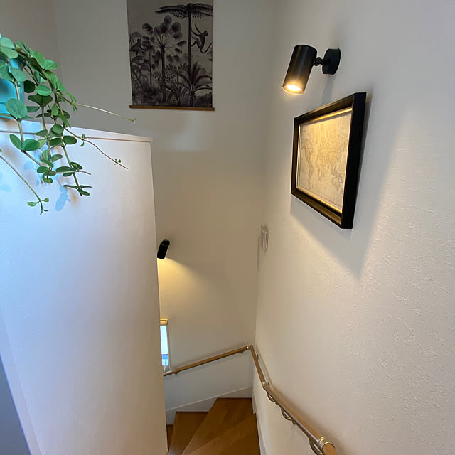 On Walls,階段,絵画が好き,絵画のある暮らし,スワッグ,観葉植物,癒し,植物のある生活,２階リビング,簡単掃除,ニトリ,階段照明,シンプル,モダンアンティークが好き,スポットライトLED roenの部屋