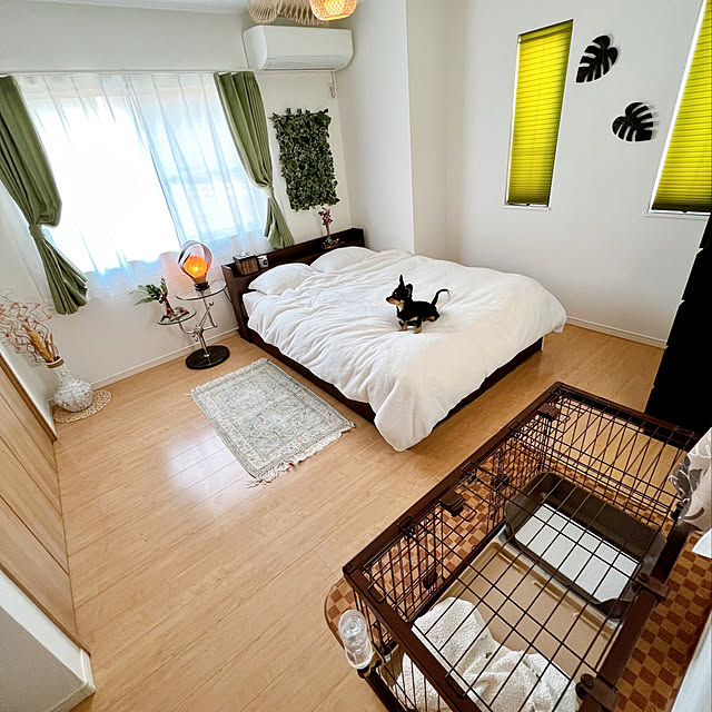 寝室,犬が隠れています,ペットと暮らす家,犬と暮らす,サークル,グリーンインテリア,防災特集,TOSTEM,電動シャッター,LIXIL,台風対策,自動シャッター,LIXILシャッター,ベッド,アジアン雑貨,シャッター,窓,アジアン,バリ雑貨,Bedroom,スマートホーム,防犯対策,防災対策,家事楽,ライフアシスト,名もなき家事,名もなき家事からの解放,寝室の窓,ウォールグリーン h_a_n_a_y_u_iの部屋