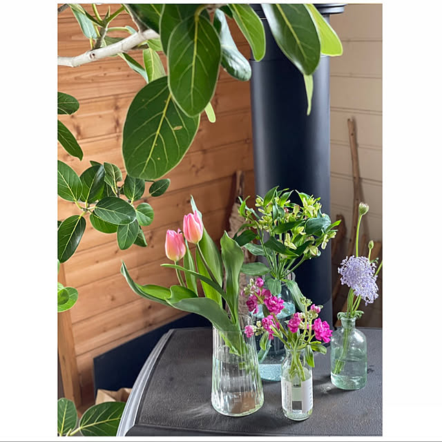 お花で暮らしに彩りを 春の植物をインテリアに取り入れる実例をご紹介 Roomclip Mag 暮らしとインテリアのwebマガジン
