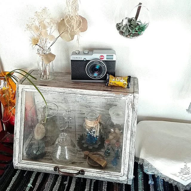 My Shelf,ディスプレイキャビネット,飾り棚,手作りショーケース,アルコールランプの瓶,薬瓶,ドライフラワー,カルディ缶,理系インテリア,テラリウム　フェイクグリーン,粘土多肉,ルーペ,カメラ缶 usako.usaの部屋