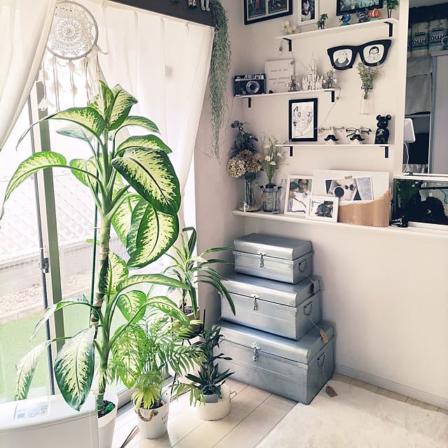 Lounge,フレームディスプレイ,デニムリメイク,配線収納,観葉植物,RoomClipショッピング,観葉植物のある暮らし,配線隠し,額,ブリキ雑貨,スリコ,配線カバー,写真立て,配線隠しDIY,ブリキ,水槽,水槽のある部屋,ブリキトランク,眼鏡置き,眼鏡スタンド,ガラス雑貨,ガラスボトル,フェイクグリーン,フェイクフラワー,before after,ドリンクサーバー,額縁ディスプレイ GaudisHouseの部屋