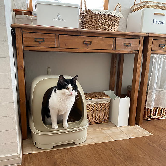 Entrance,インテリア,猫トイレ,ナチュラルインテリア,RCの出会いに感謝♡,ねこのいる日常,白×茶色が好き,ねこと暮らす,コメントお気遣いなく♡,モニター当選ありがとうございます,白×木が好き,猫多頭飼い,ニャンとも,北欧ナチュラル kurinの部屋