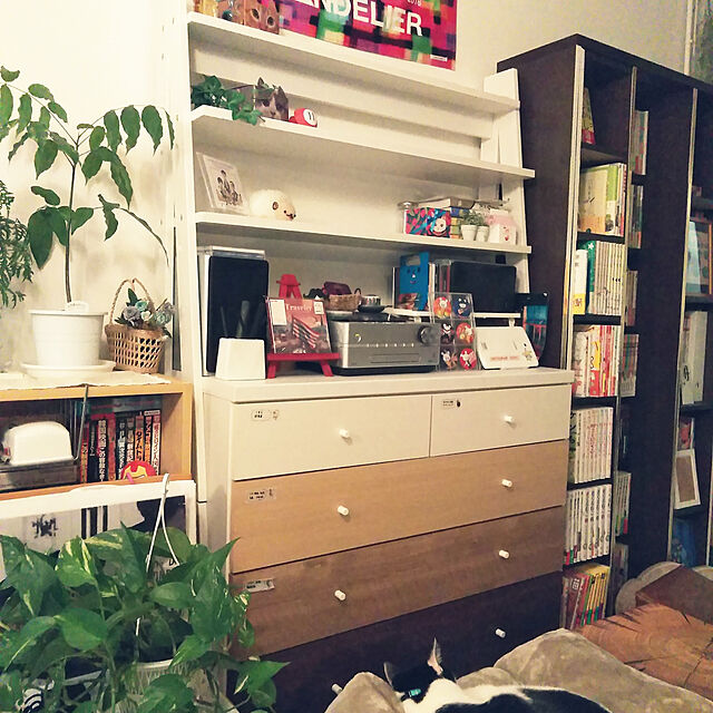 ニトリ,My Shelf futukoの部屋
