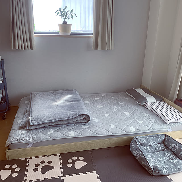 観葉植物,北欧,ニトリ,Bedroom,ローベット,ガジュマルの木 CREWの部屋