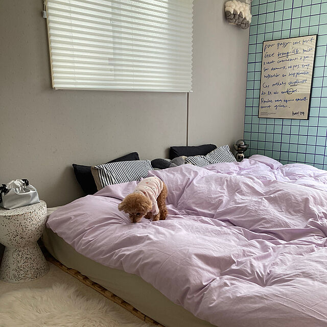 Bedroom,韓国インテリア,冬の模様替え,海外インテリア,海外インテリアに憧れる,ミックスインテリア,犬と暮らす aaakee888の部屋