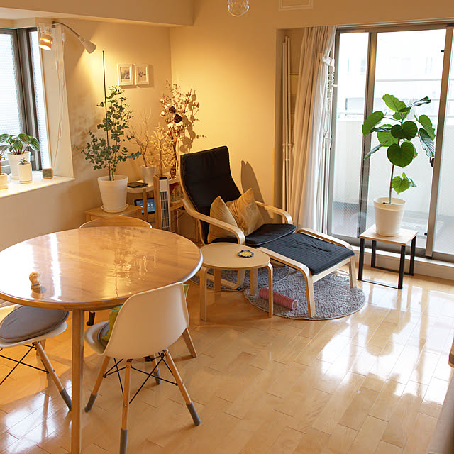 マンション暮らし,丸テーブル,プラントスタンド,IKEA ポエング,ウンベラータ,ユーカリ,Overview kentatomの部屋