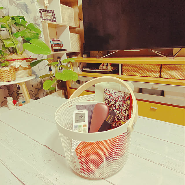 観葉植物,グリーンのある暮らし,片付けが苦手…,カゴ収納,ダイソー,ワイヤーバスケット,お気に入りのかご・バスケット,雑貨大好き♡,持ち手付きカゴ,雑貨,ディスプレイのセンスが欲しい,のんびりマイペース,ずぼら主婦,My Desk,100円じゃないけどダイソーにあった,ちょっと置き場 moolの部屋