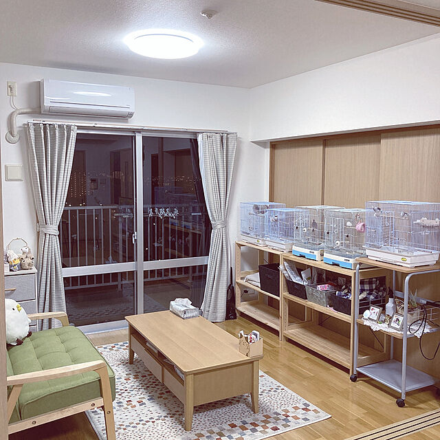洋室,鳥かご台,鳥かご,ニトリ,Lounge,十姉妹,文鳥のいる暮らし,鳥と暮らす,鳥との暮らし,賃貸 Haruekoの部屋