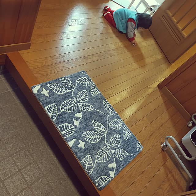 Entrance,玄関マット,記録用,中古住宅,築24年,こどもと暮らす。,あかちゃんのいる暮らし,腰壁,風水,玄関は北向き mash-room.aeの部屋