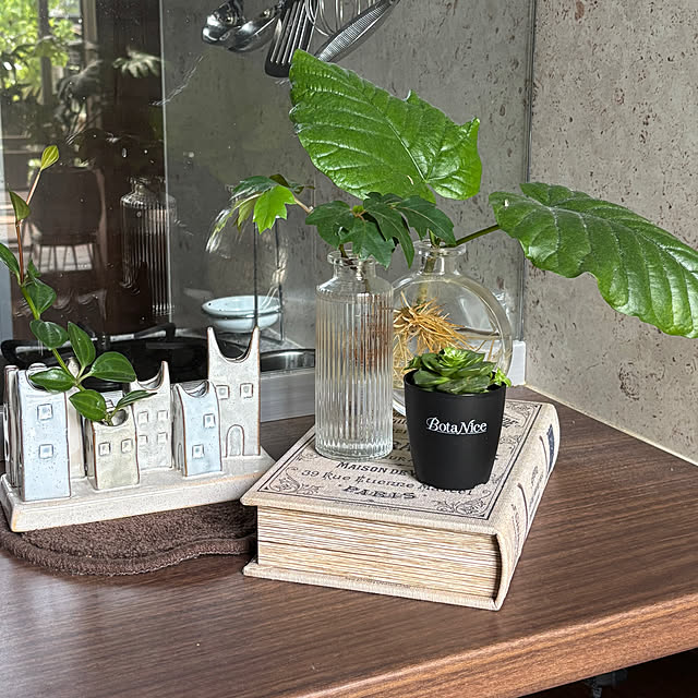My Shelf,一輪挿し,観葉植物,植物のある暮らし,多肉植物,虫対策,BotaNice,ダイソーの一輪挿し,緑のある暮らし,ディスプレイコーナー maimai0110の部屋