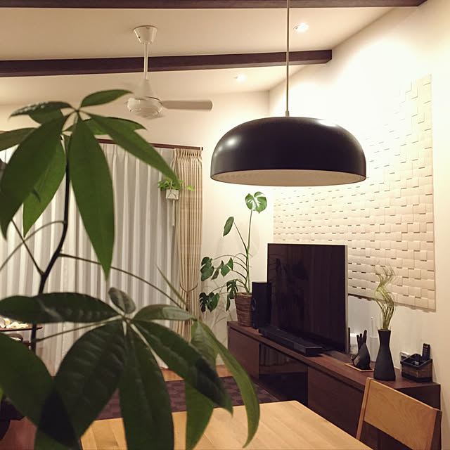 Lounge,化粧梁,IKEA 照明,エコカラット,モンステラ,ミサワホーム,ナチュラルモダン,30坪以下,観葉植物,一軒家,インテリア,カーテン,二階リビング,ポトス,パキラ,キルト mikasa34の部屋