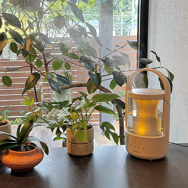 Kitchen,MIST250,RHYTHM,くらしのリズムを整える,リズムアンバサダー Minaの部屋