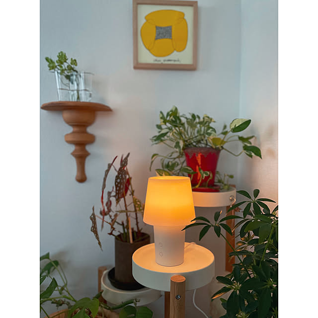 My Shelf,水を使わないアロマディフューザー,香りのある暮らし,無印良品,ワンルーム,ひとり暮らし,賃貸インテリア,北欧インテリア,北欧ヴィンテージ,お花のある暮らし,ミックスインテリア,植物のある暮らし,好きなものに囲まれた暮らし,IKEA hitomiの部屋