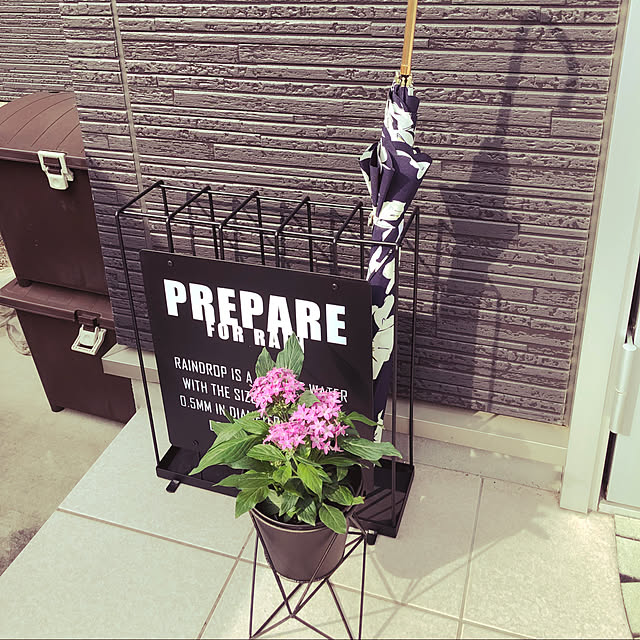 Entrance,植木鉢,傘立て,ニトリ aya_24vvの部屋