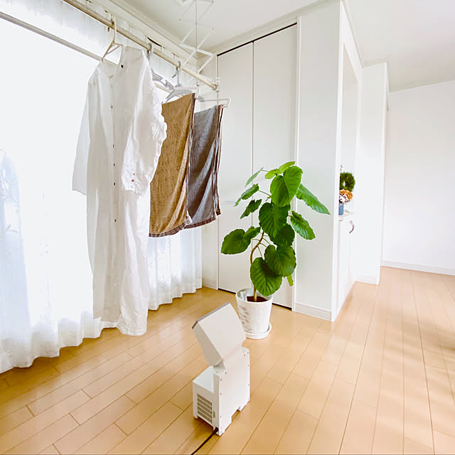ランドリースペース,衣類乾燥,おうち時間,ZOJIRUSHI,家電,ふとん乾燥機,植物のある暮らし,ウンベラータ,NO GREEN NO LIFE,Bathroom UNI.mamaの部屋