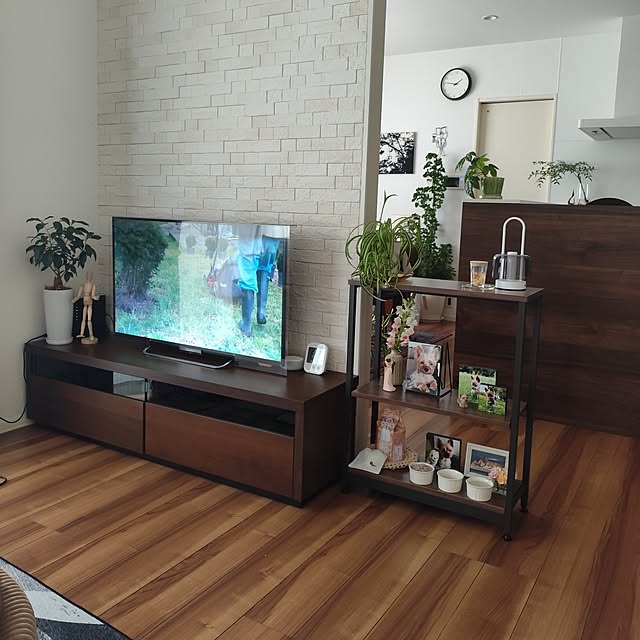 Lounge,ディスプレイコーナー,リビングルーム,花のある暮らし,日々の暮らし,くつろぎ空間,観葉植物のある暮らし,調う収納,スチール棚 coco0.84.の部屋