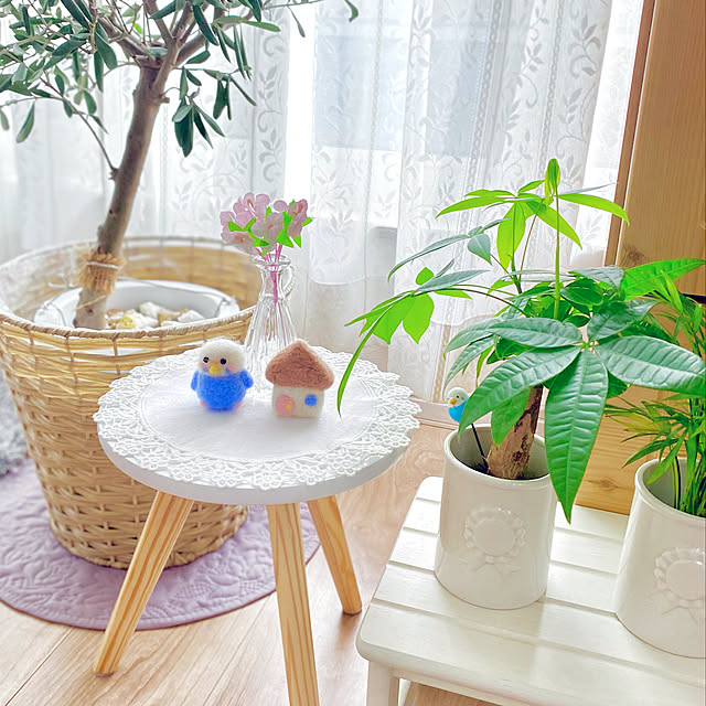 salut!のミニテーブル,オリーブの鉢植え,パキラ,羊毛フェルト,ダイソー,窓辺のインテリア,いつもいいね！ありがとうございます♪,コメントスルーして下さい*˙︶˙*)ﾉ