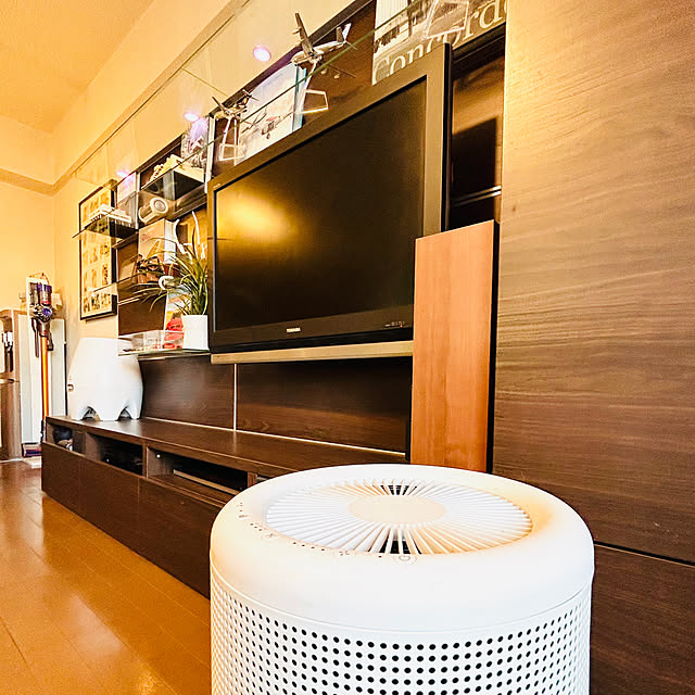 空気清浄機,ボネコ加湿器,無印良品,テレビボード,壁面ディスプレイ,壁面,IKEA,加湿器,Lounge numazzaの部屋