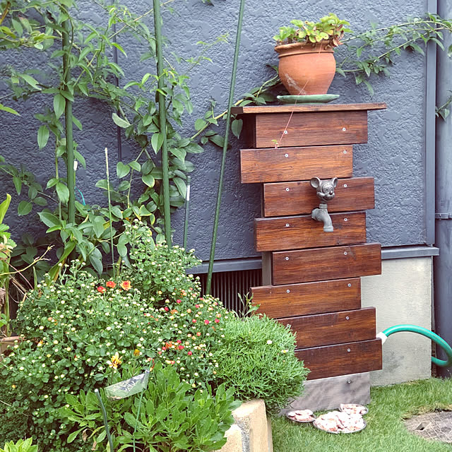 Entrance,ディズニー,にわのある暮らし,ガーデニング,ミッキーマウス,蛇口DIY,ナニワイバラ,ワイルドストロベリー栽培,ガーデンマム,１００均,水栓柱DIY,立水栓の水受け,立水栓DIY,手作り ampinの部屋