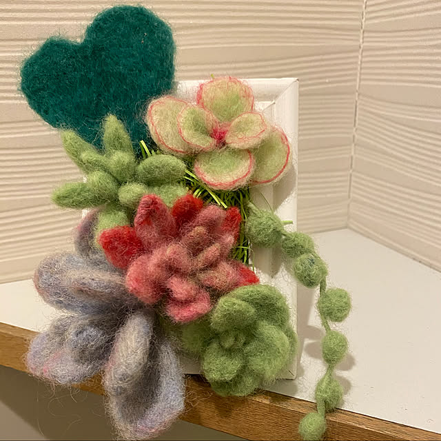 わたしのハンドメイド 秋,多肉植物,My Shelf Nyaの部屋