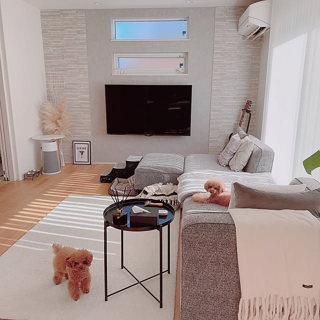 Lounge,グレーインテリア,すっきり暮らす,シンプルモダン,おうち時間,壁掛けテレビ,グレージュインテリア,愛犬と暮らす家,いぬのいる暮らし,ソファ,バーチカルブラインド alohakaorenの部屋
