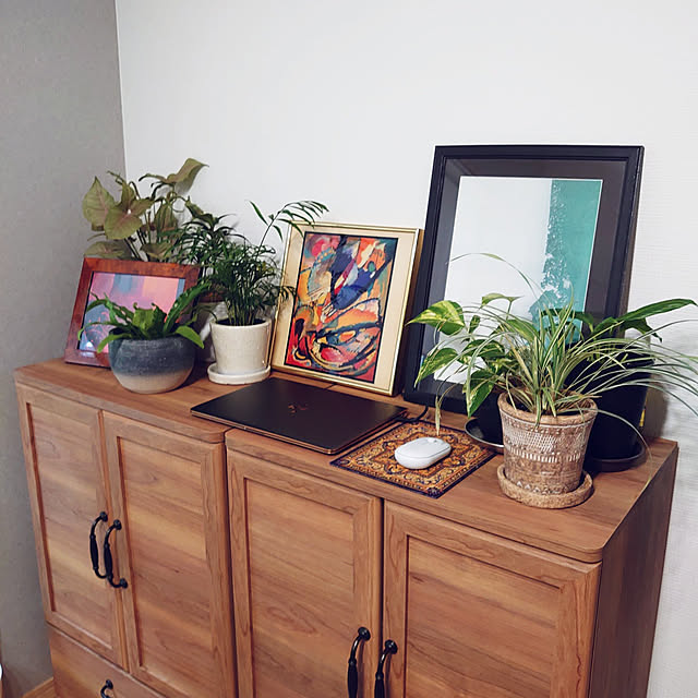 My Shelf,観葉植物,ディスプレイコーナー,パソコン置き場 rinrinの部屋