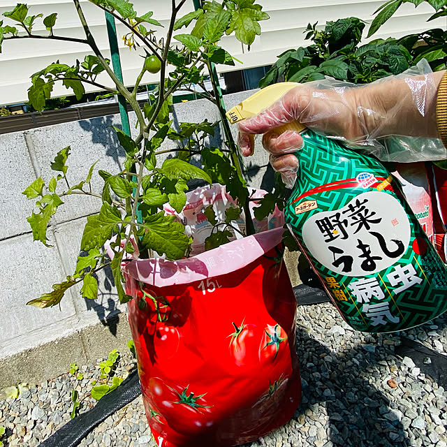 野菜うまし,アースガーデン,害虫対策,家庭菜園,ガーデニング,おうち時間 minu5656の部屋
