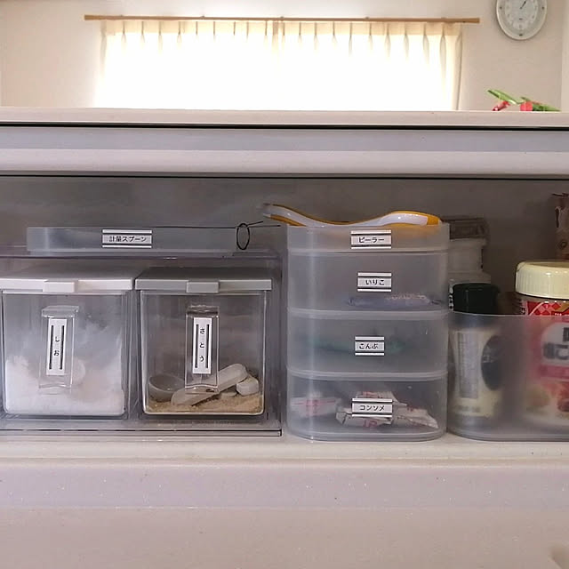Kitchen,調味料収納,建売住宅,100均,ダイソー,自由自在積み重ねボックス,タカラスタンダード,スパイスニッチ,調味料 ishicoroの部屋